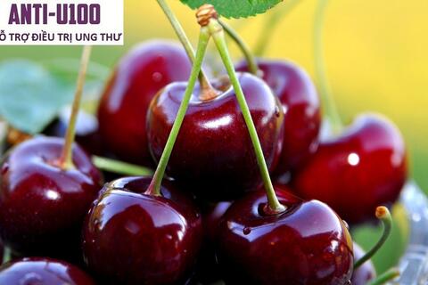 Tại sao cherry đắt đỏ, nhưng vẫn không ít người tìm mua?